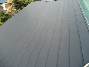 そえた5-thumb-636x477