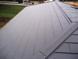 屋根葺き４-thumb-640x480