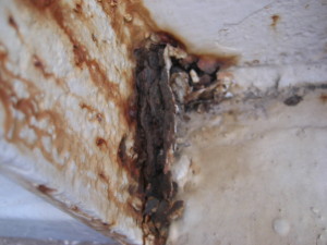 御幸鉄-thumb-640x480