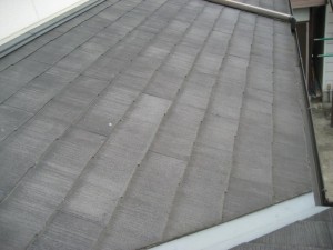 添えた1-thumb-636x477