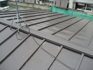 菊3葺き後1-thumb-648x486