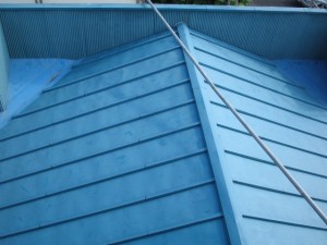 菊前-thumb-640x480